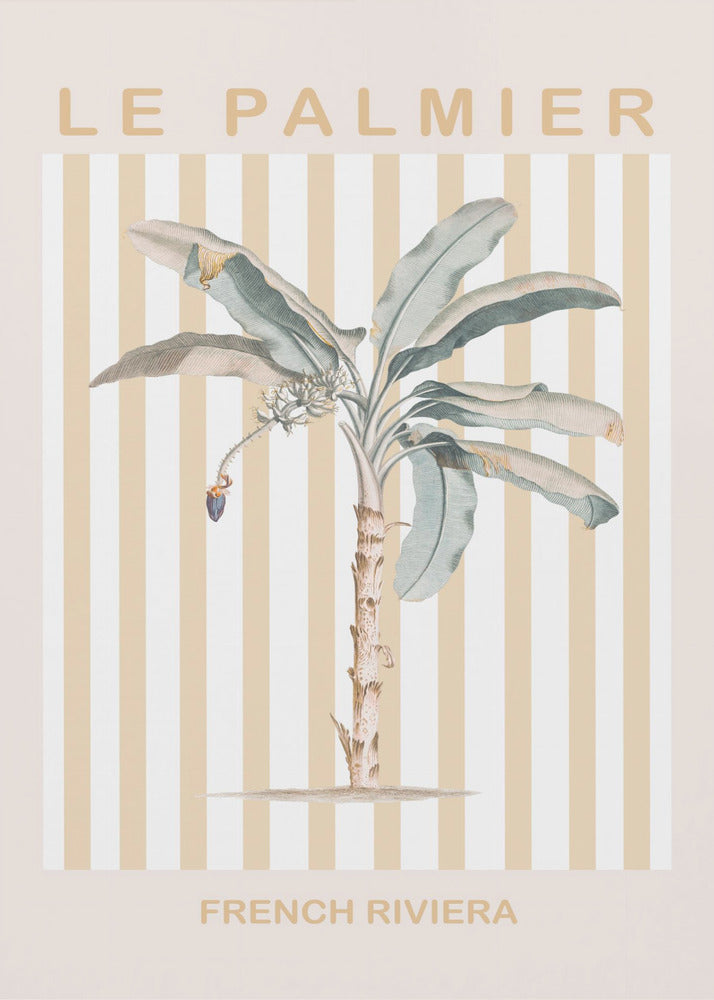Riviera Plam Tree - Poster / Art Print