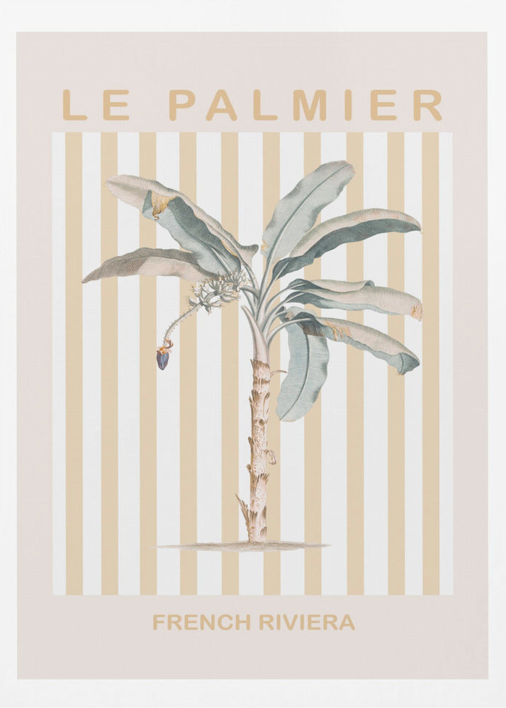 Riviera Plam Tree - Poster / Art Print