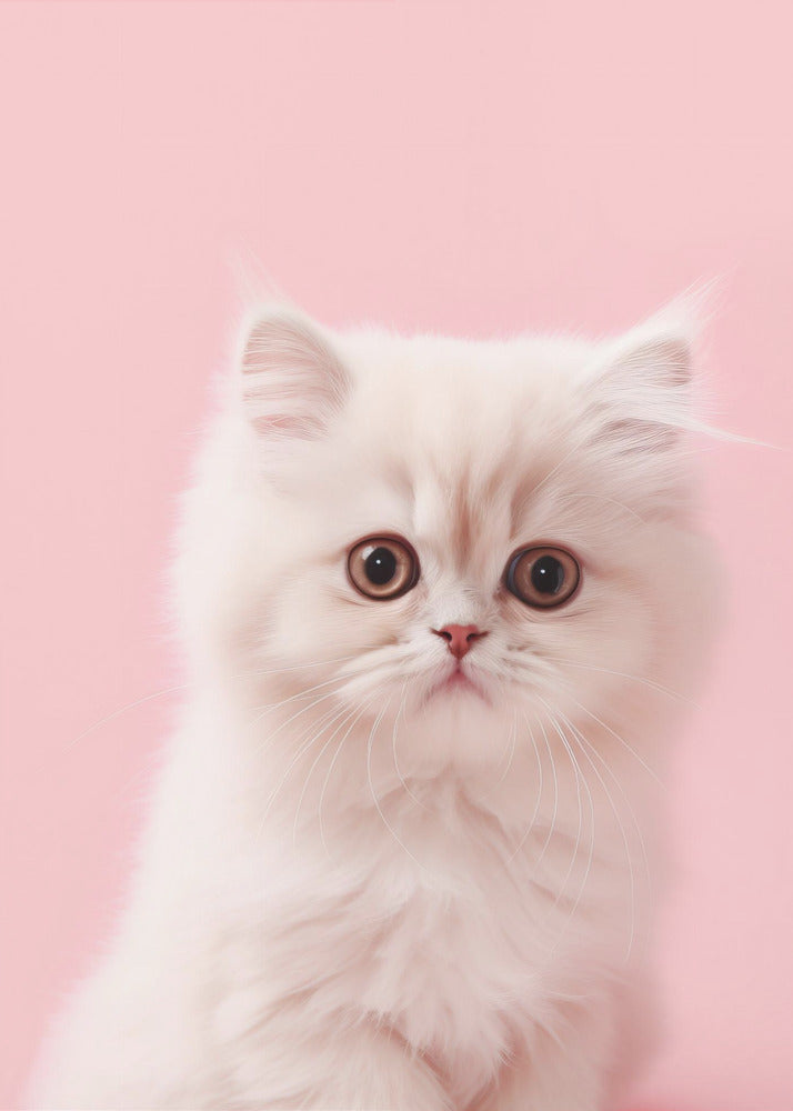 Kitty 4 - Poster / Art Print