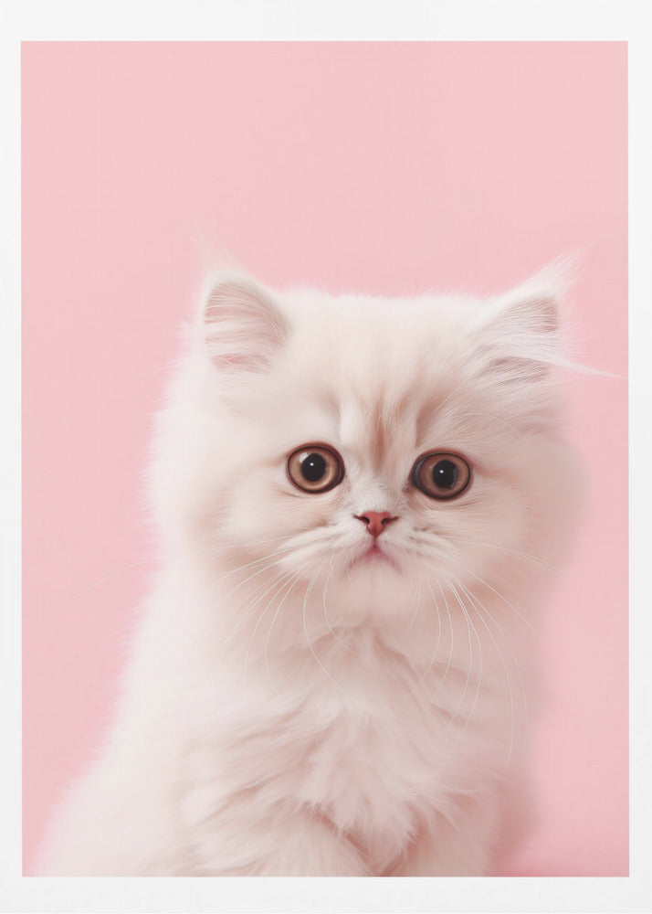 Kitty 4 - Poster / Art Print
