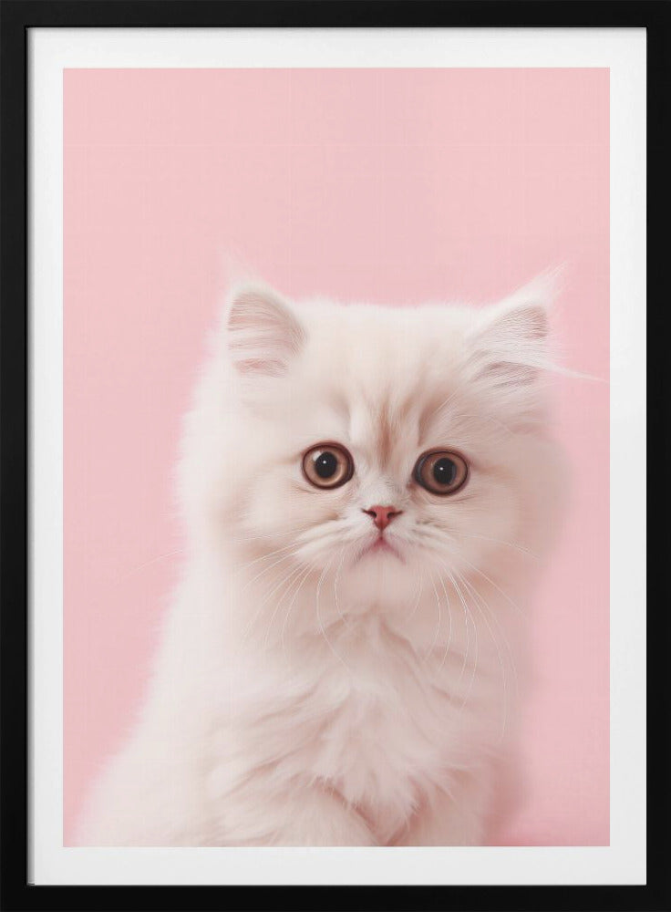 Kitty 4 - Poster / Art Print
