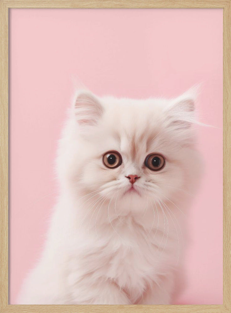 Kitty 4 - Poster / Art Print