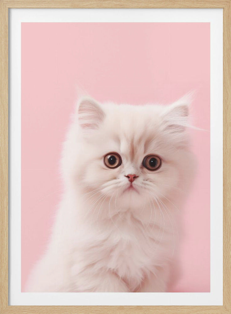 Kitty 4 - Poster / Art Print