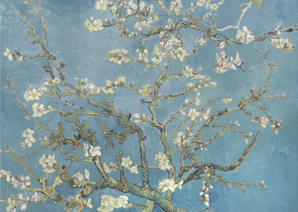 Vincent Van Gogh's Almond Blossom (1890) - Poster / Art Print