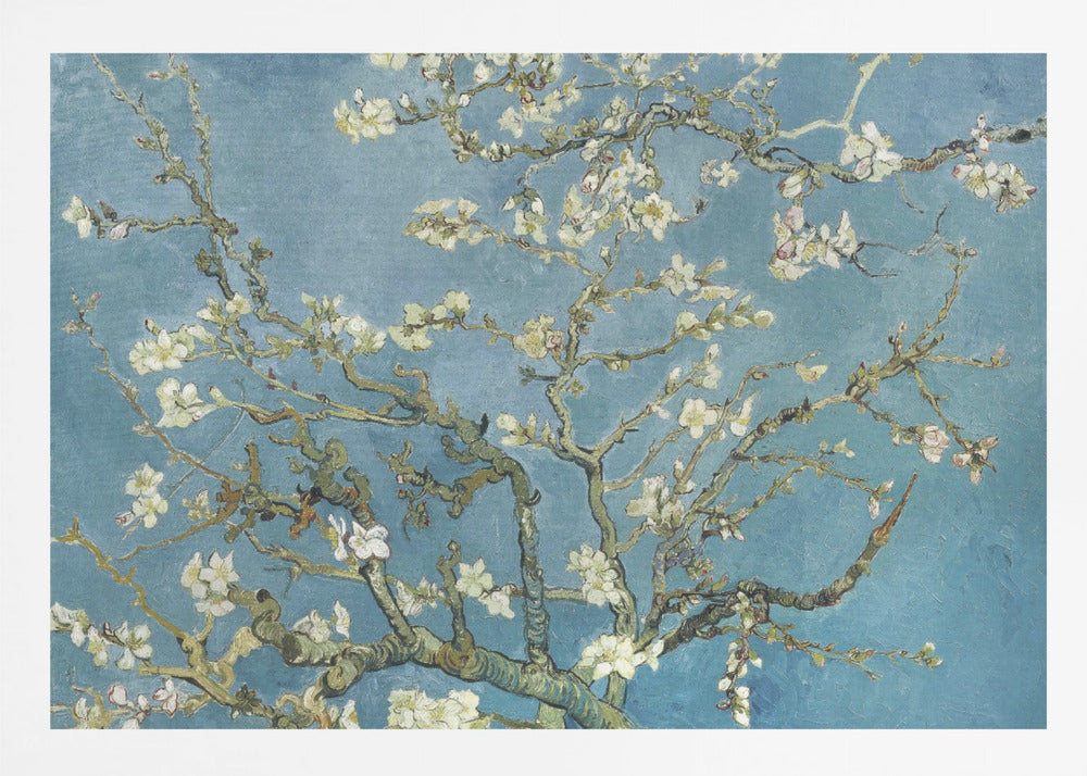 Vincent Van Gogh's Almond Blossom (1890) - Poster / Art Print