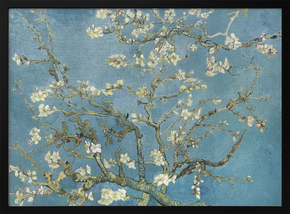 Vincent Van Gogh's Almond Blossom (1890) - Poster / Art Print