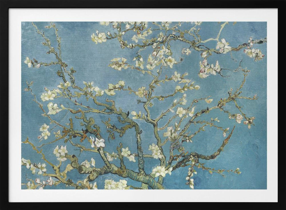 Vincent Van Gogh's Almond Blossom (1890) - Poster / Art Print