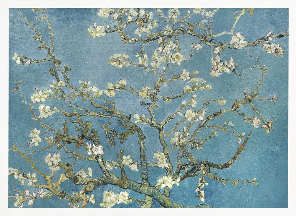 Vincent Van Gogh's Almond Blossom (1890) - Poster / Art Print