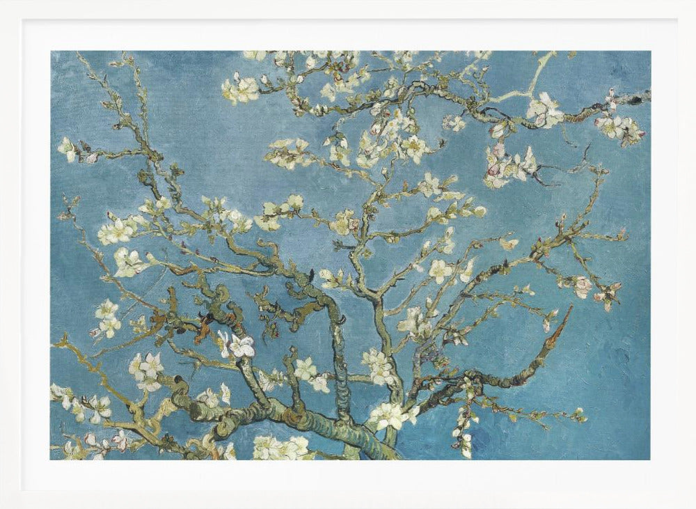 Vincent Van Gogh's Almond Blossom (1890) - Poster / Art Print