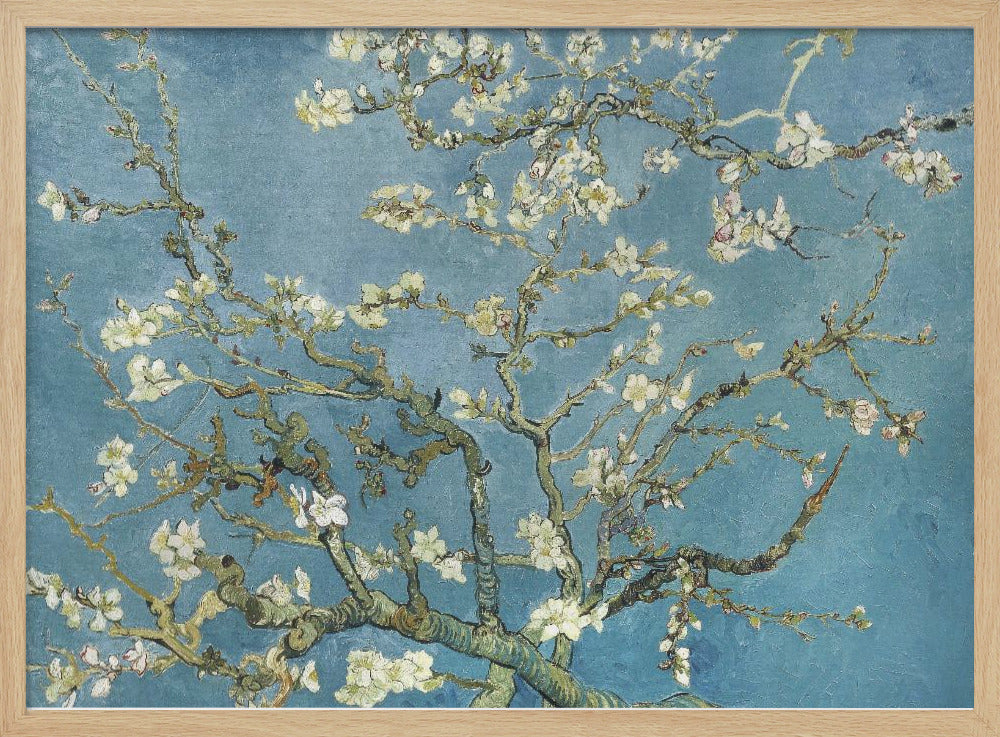 Vincent Van Gogh's Almond Blossom (1890) - Poster / Art Print