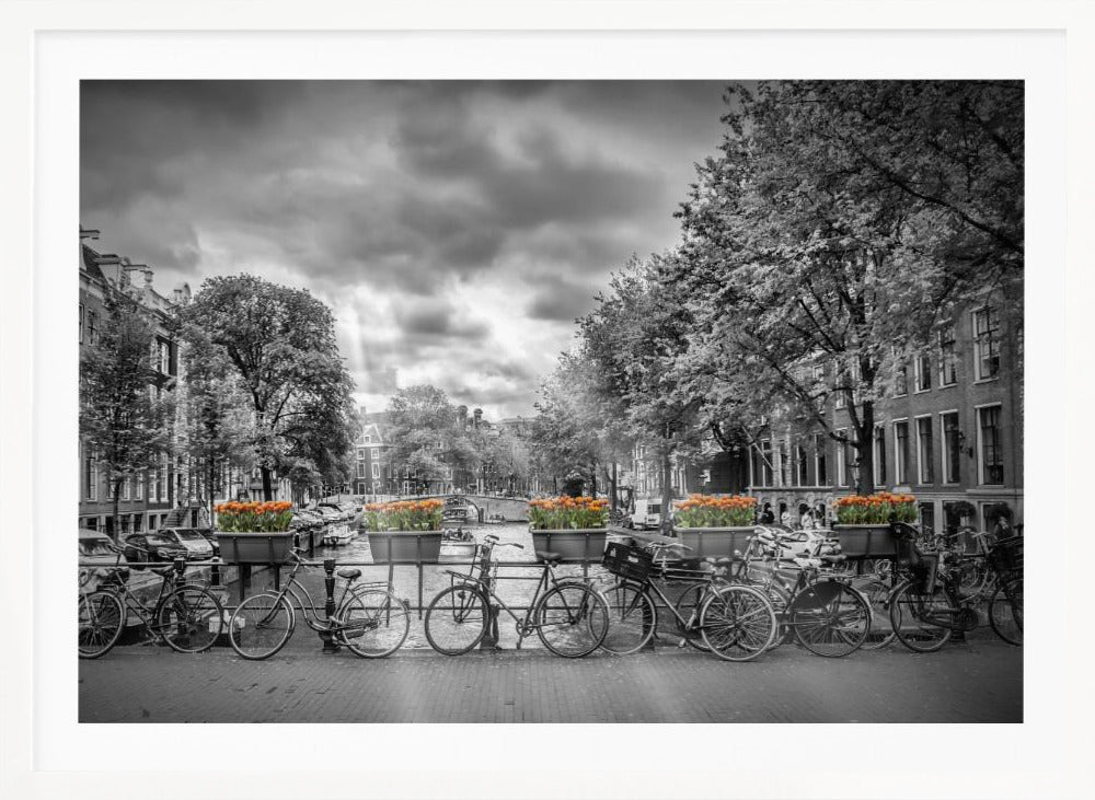Typical Amsterdam - Poster / Art Print