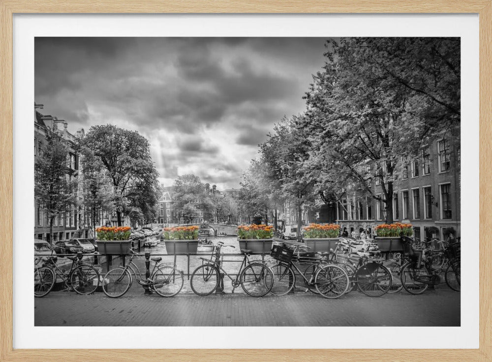 Typical Amsterdam - Poster / Art Print