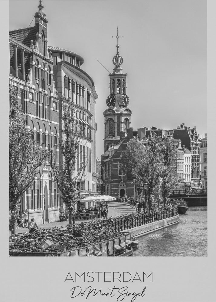 In focus: AMSTERDAM De Munt - Poster / Art Print