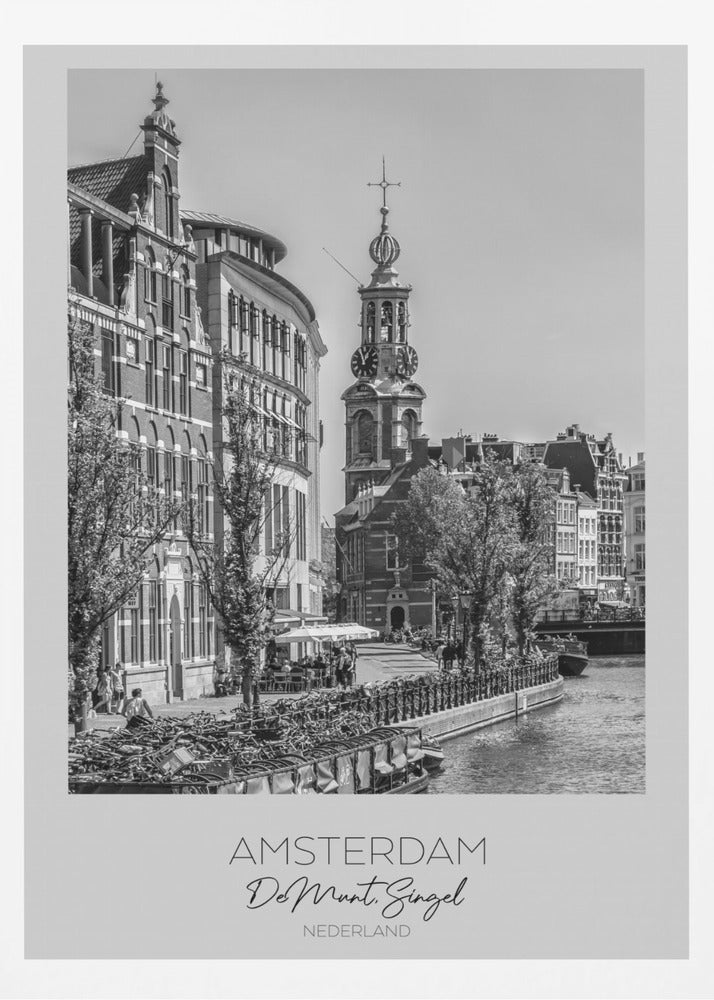 In focus: AMSTERDAM De Munt - Poster / Art Print