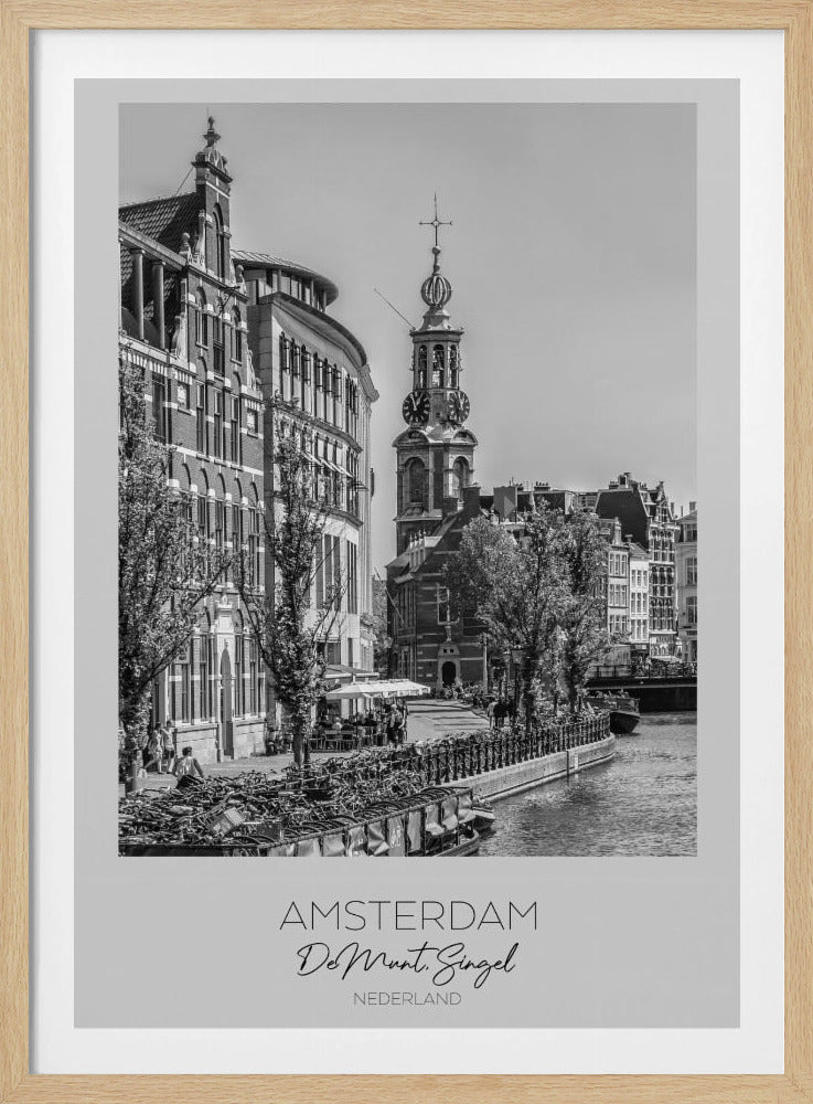 In focus: AMSTERDAM De Munt - Poster / Art Print