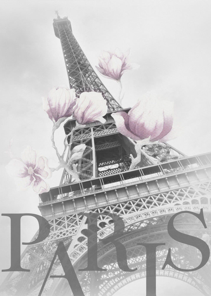 PARIS Magnolia Eiffel Tower - Poster / Art Print