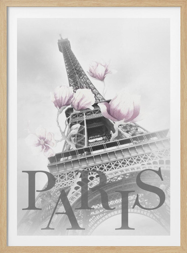 PARIS Magnolia Eiffel Tower - Poster / Art Print