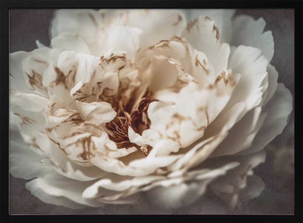 Nostalgicnatureno21 - Poster / Art Print