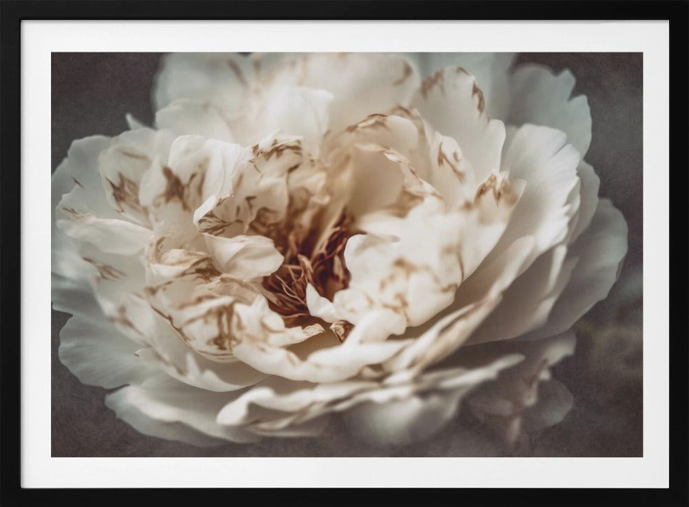 Nostalgicnatureno21 - Poster / Art Print