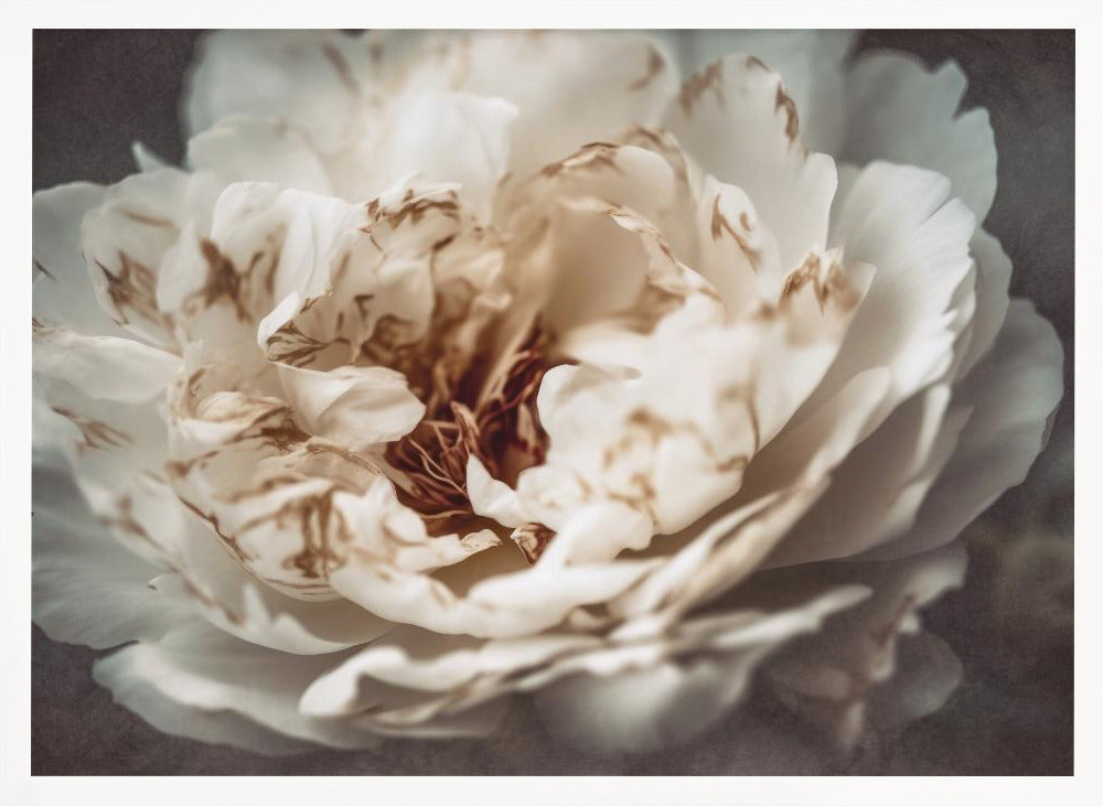Nostalgicnatureno21 - Poster / Art Print