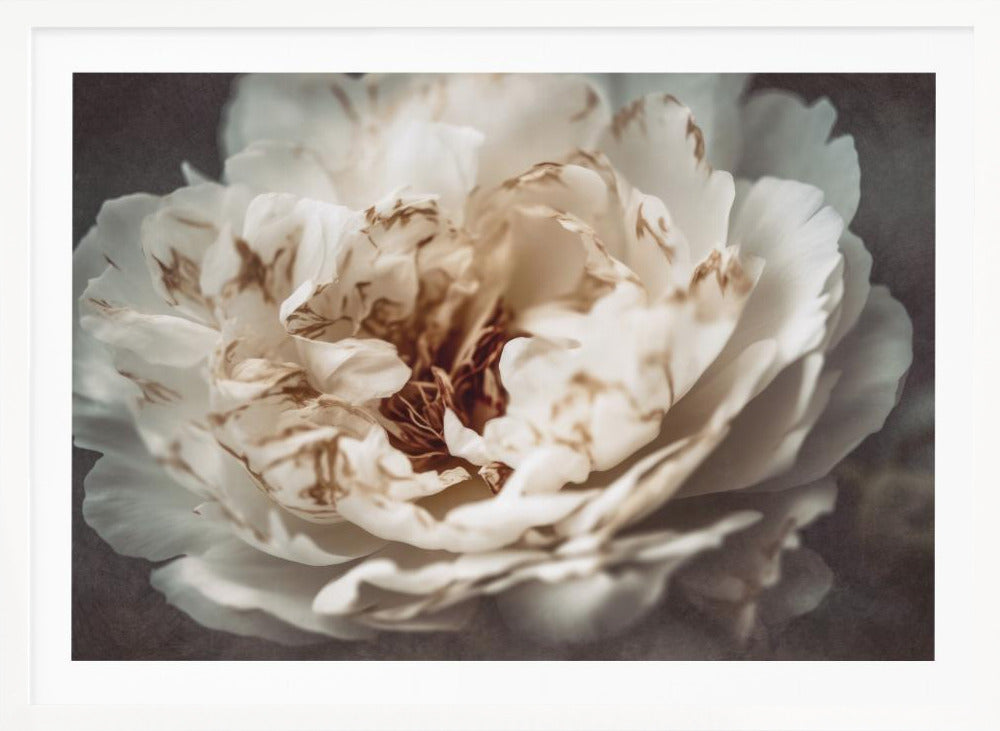 Nostalgicnatureno21 - Poster / Art Print