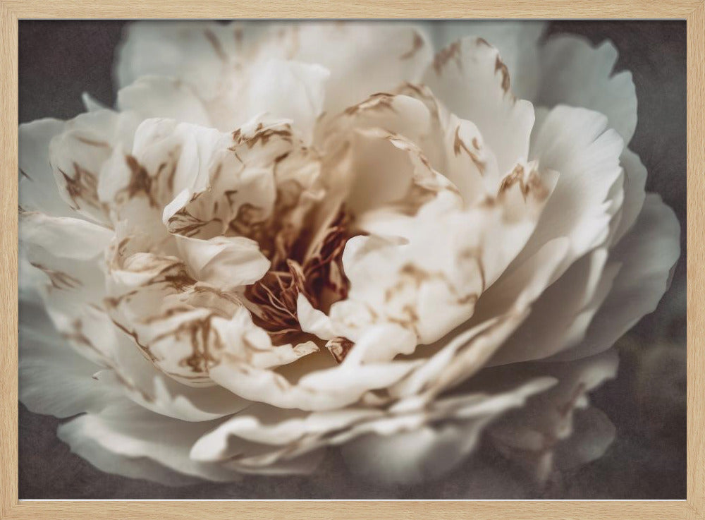 Nostalgicnatureno21 - Poster / Art Print