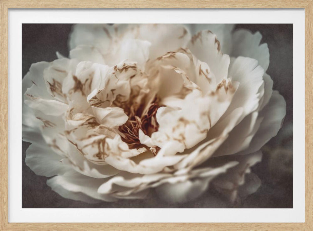 Nostalgicnatureno21 - Poster / Art Print