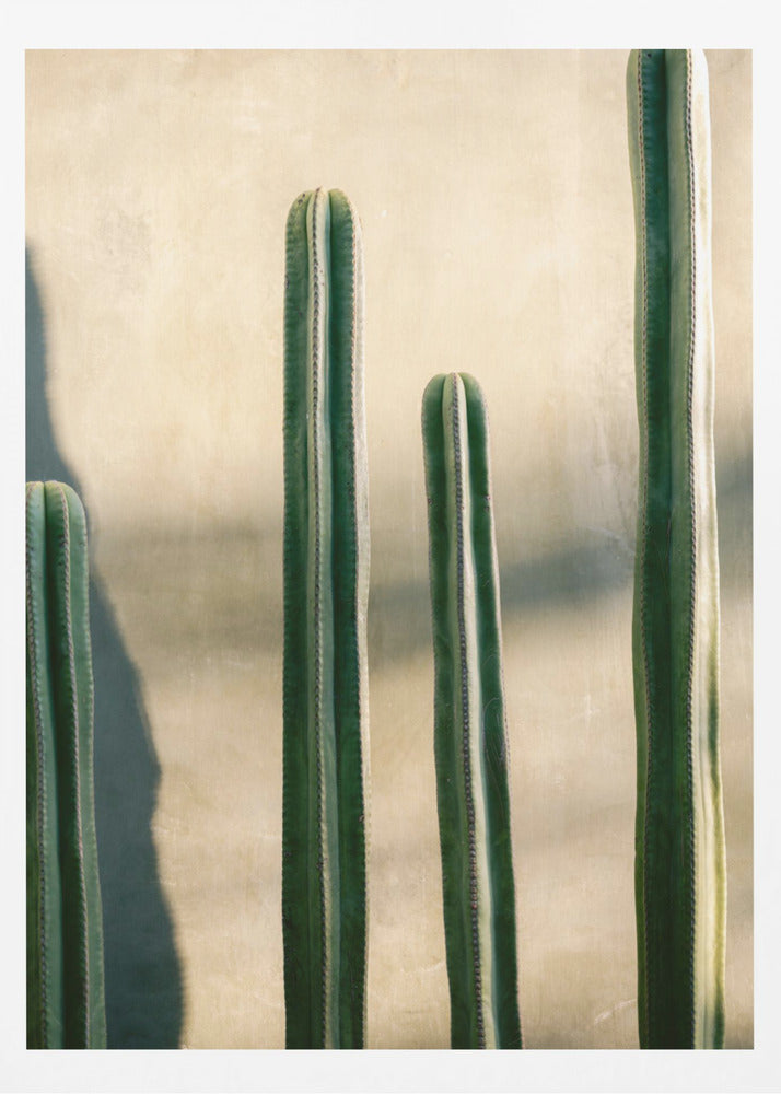 Oaxaca Shades of Green | Mexico travel photography - Poster / Art Print