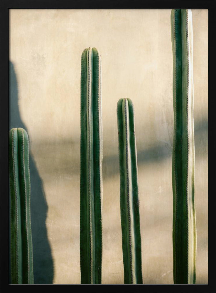 Oaxaca Shades of Green | Mexico travel photography - Poster / Art Print