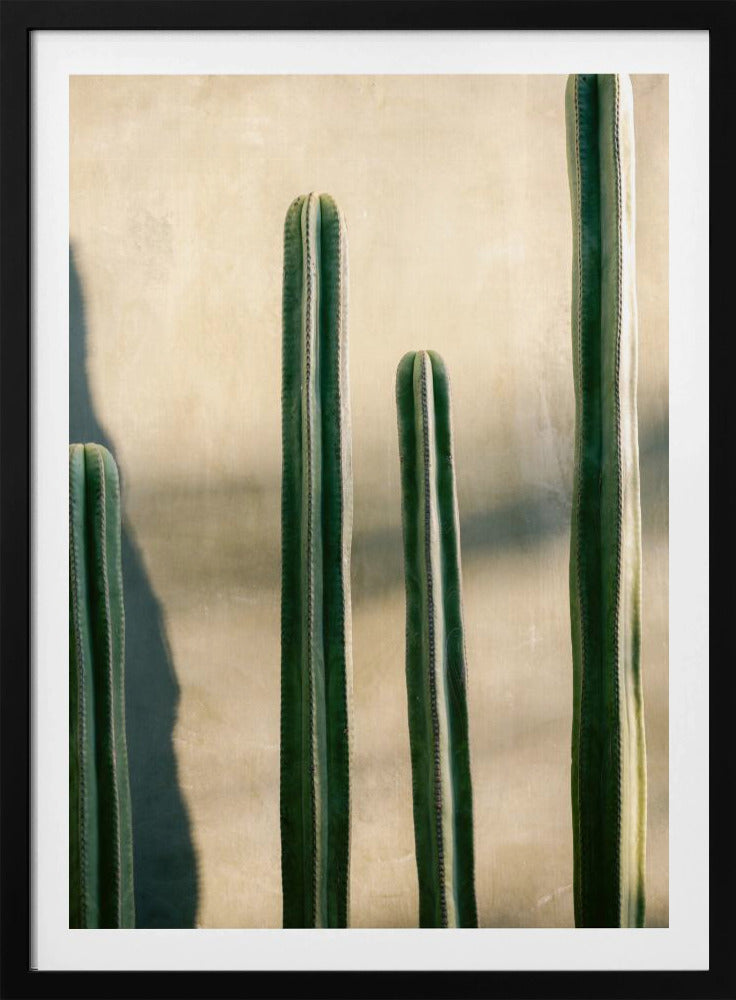 Oaxaca Shades of Green | Mexico travel photography - Poster / Art Print
