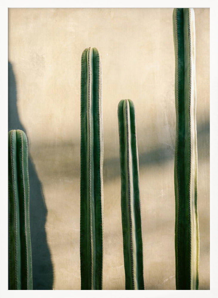 Oaxaca Shades of Green | Mexico travel photography - Poster / Art Print
