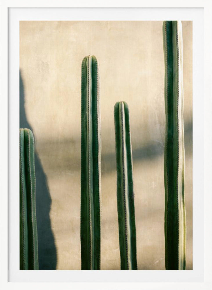 Oaxaca Shades of Green | Mexico travel photography - Poster / Art Print