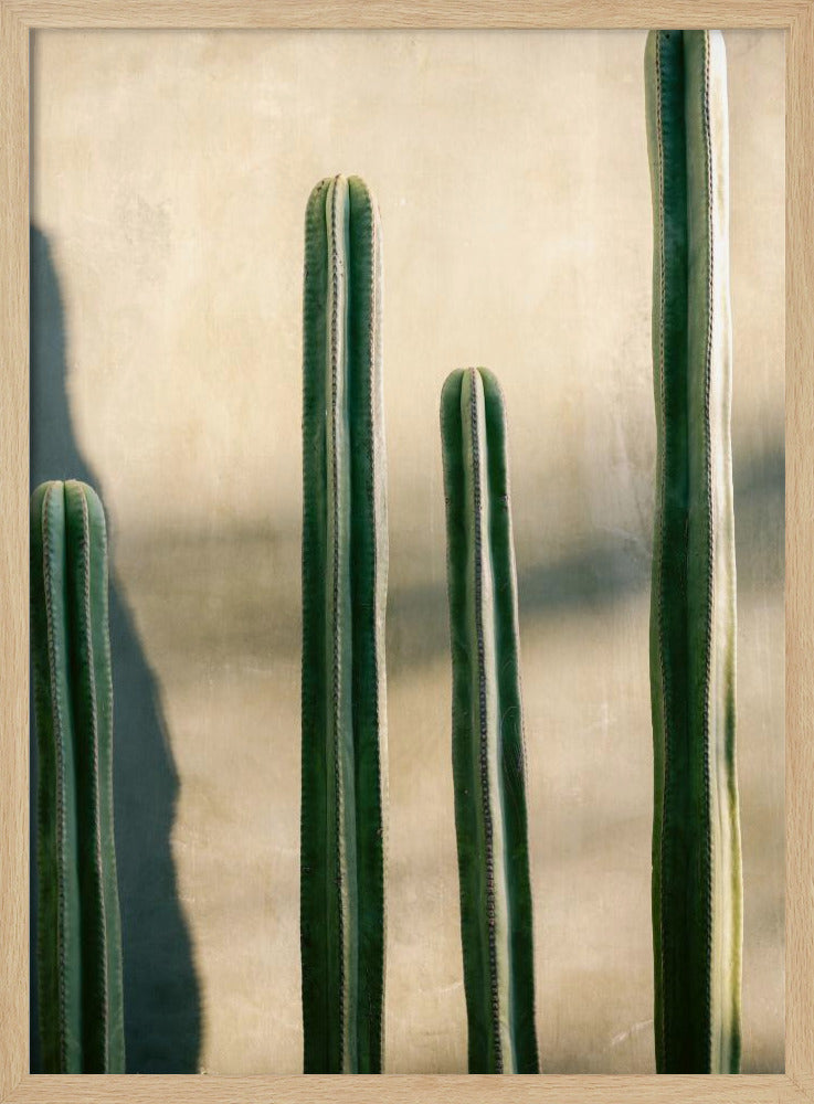 Oaxaca Shades of Green | Mexico travel photography - Poster / Art Print