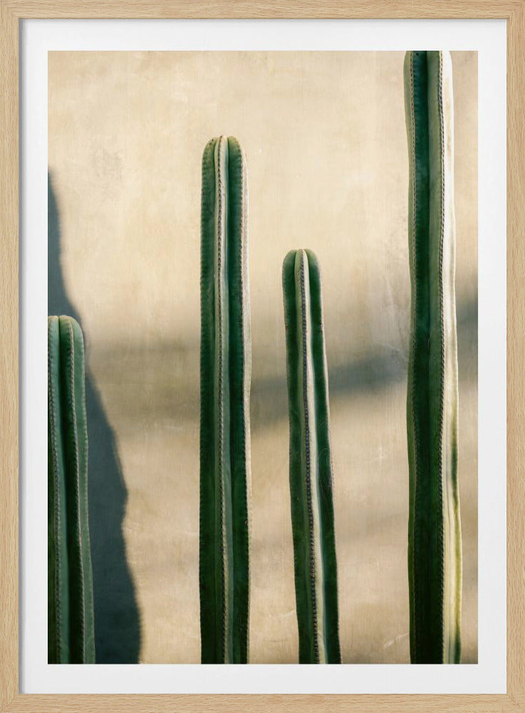 Oaxaca Shades of Green | Mexico travel photography - Poster / Art Print
