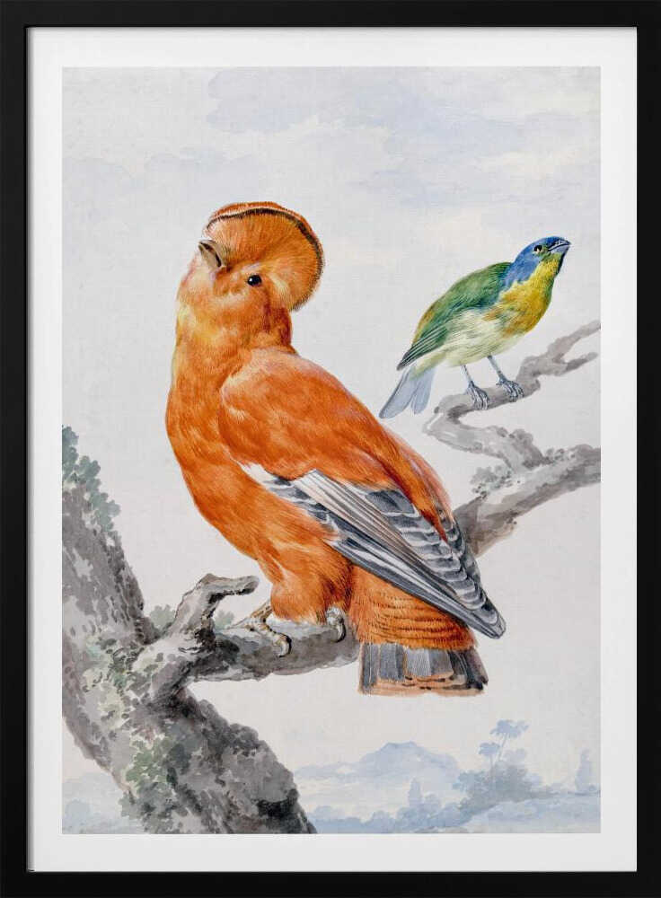 Two Exotic Birds - Poster / Art Print