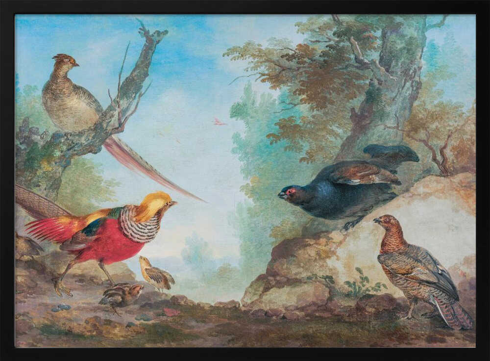 Pheasants - Poster / Art Print