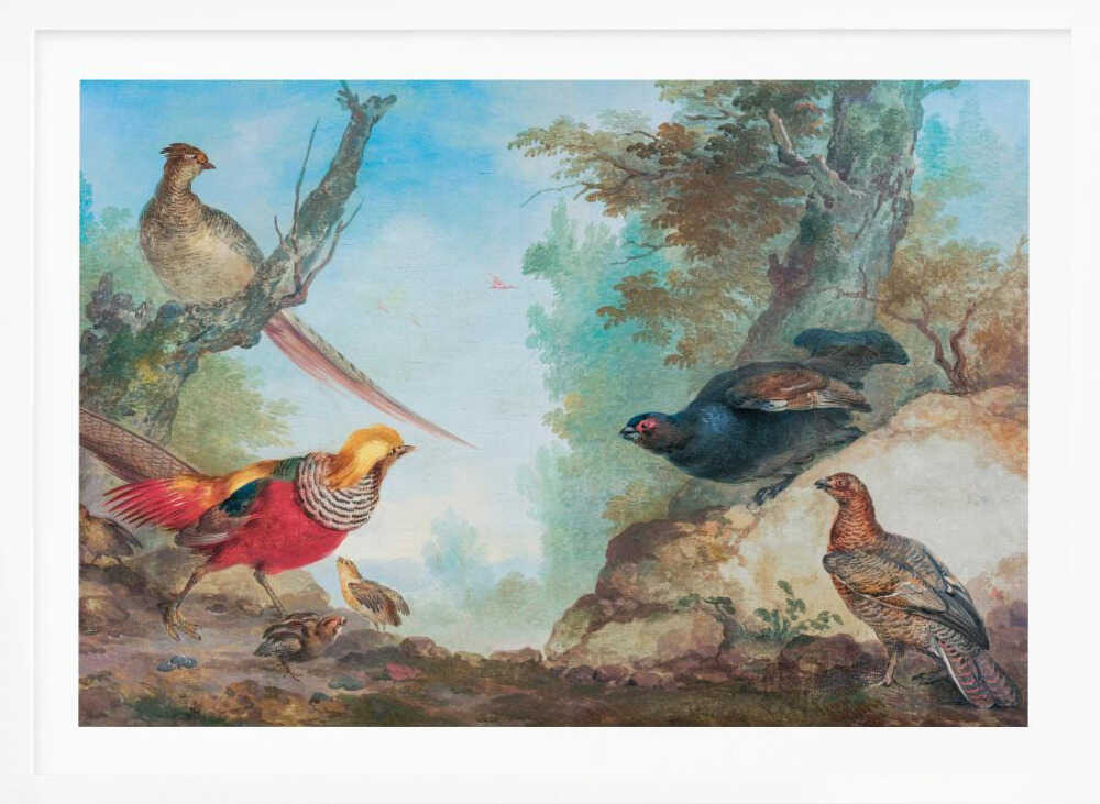 Pheasants - Poster / Art Print