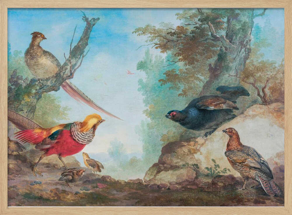 Pheasants - Poster / Art Print