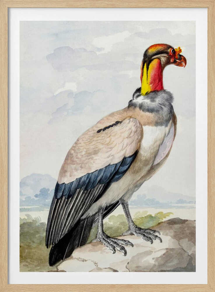 Stone Curlew - Poster / Art Print