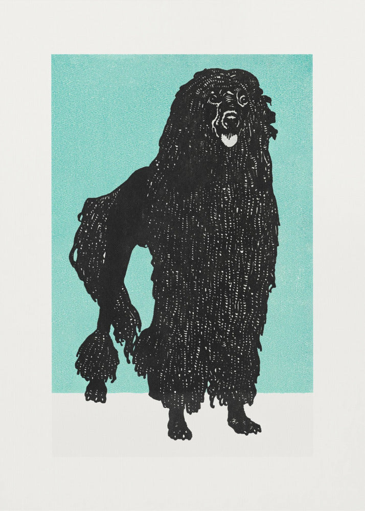 Poodle - Poster / Art Print