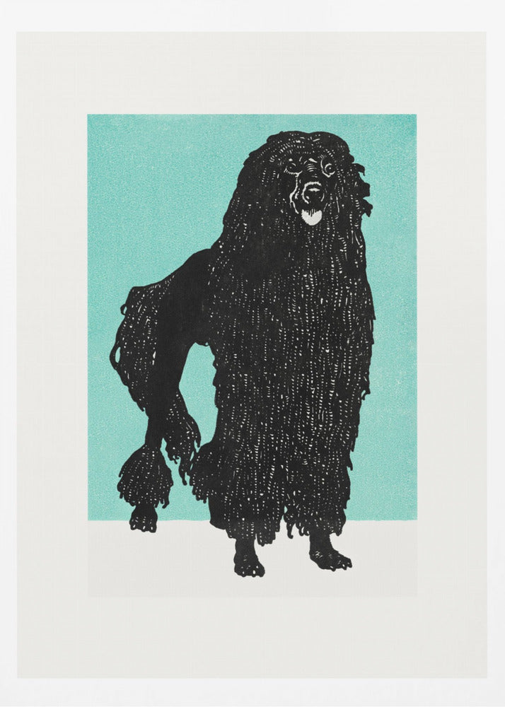 Poodle - Poster / Art Print