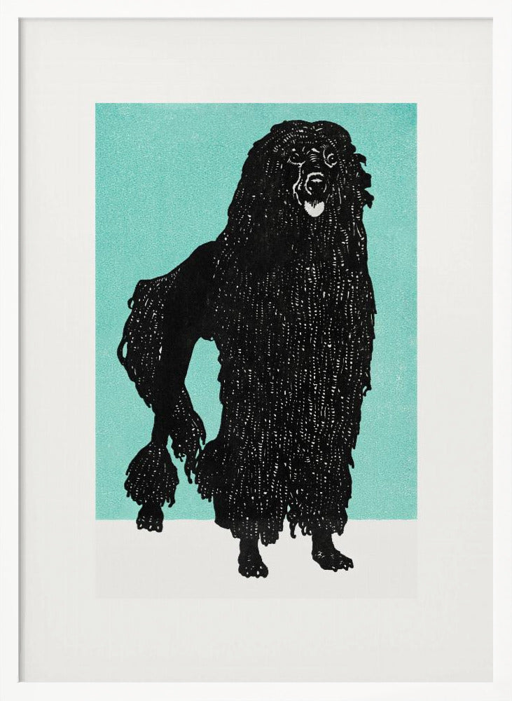Poodle - Poster / Art Print