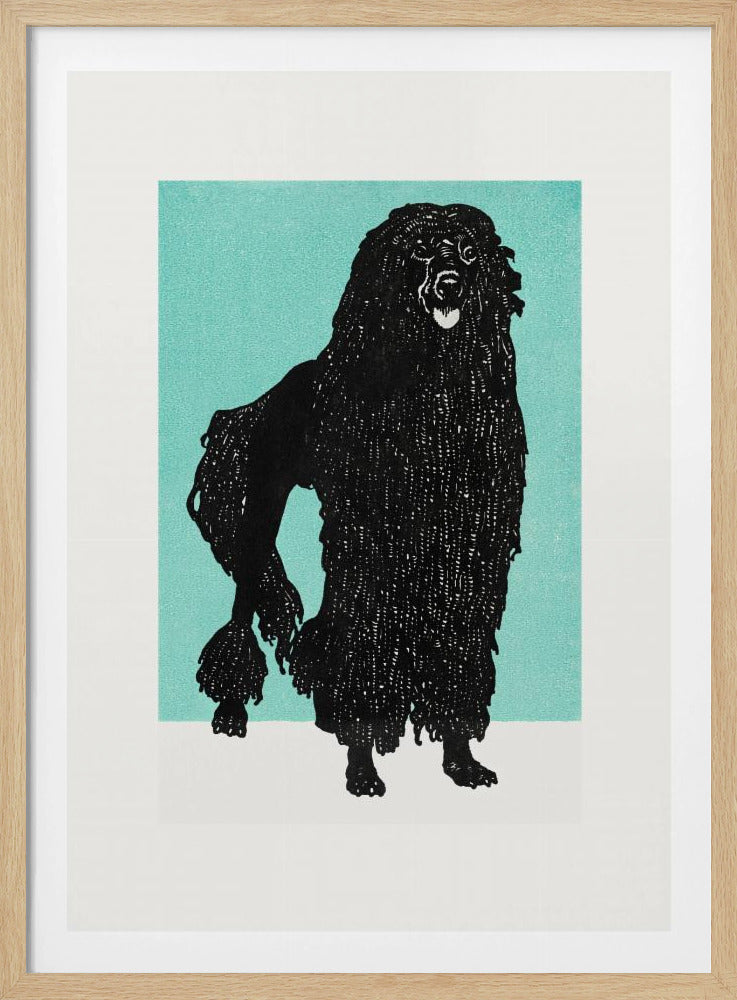Poodle - Poster / Art Print