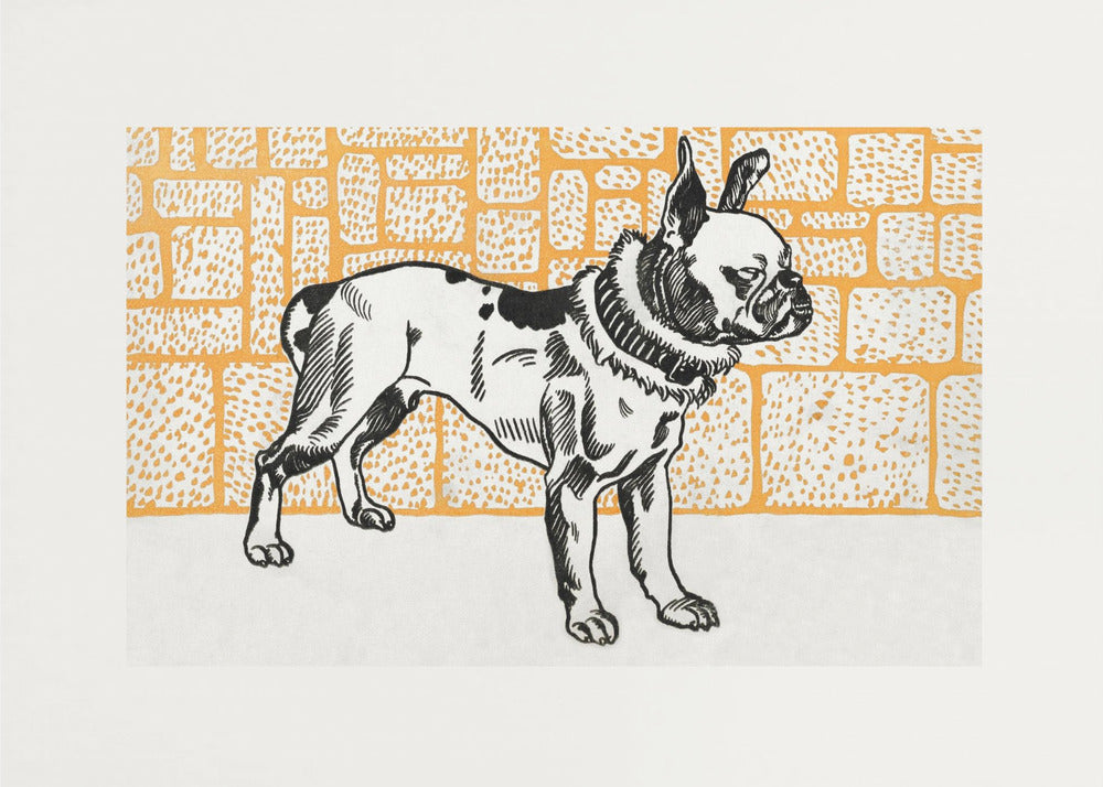 Pitbull Terrier - Poster / Art Print