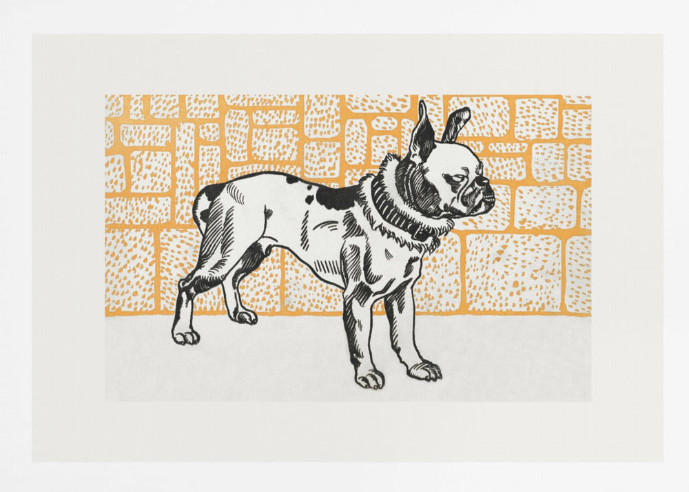 Pitbull Terrier - Poster / Art Print