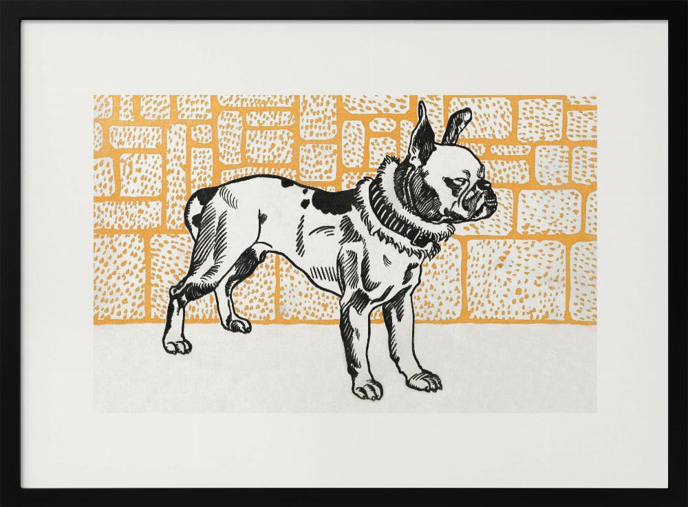 Pitbull Terrier - Poster / Art Print