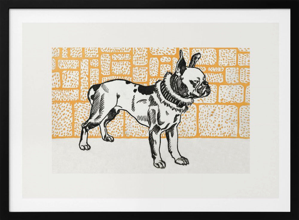 Pitbull Terrier - Poster / Art Print