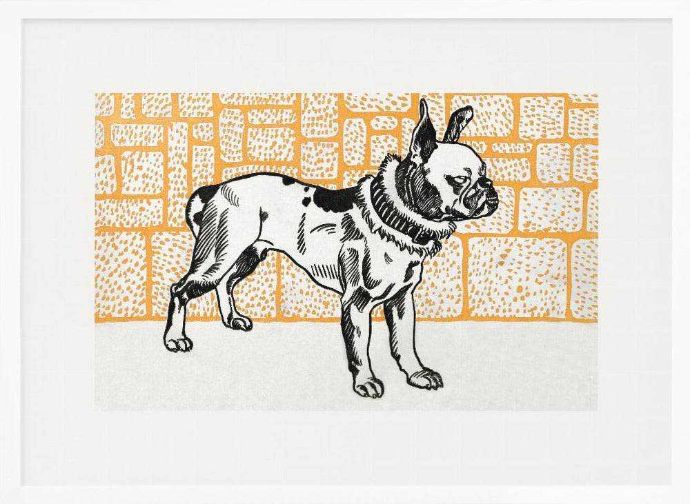 Pitbull Terrier - Poster / Art Print