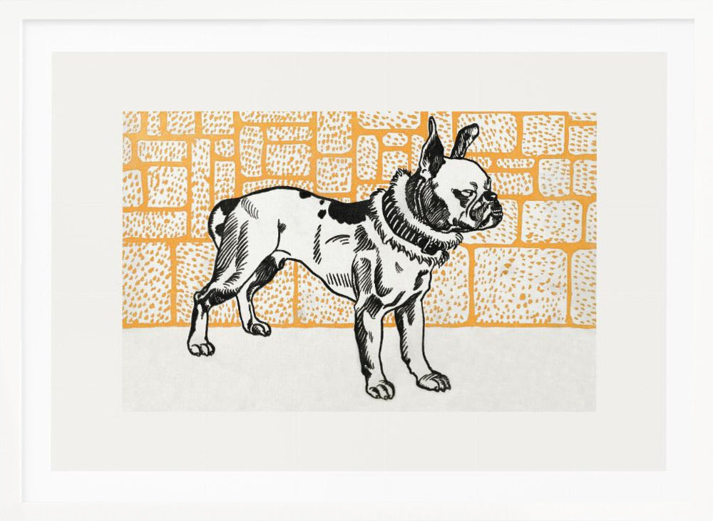 Pitbull Terrier - Poster / Art Print