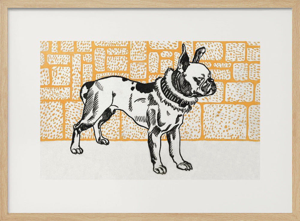 Pitbull Terrier - Poster / Art Print